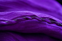 September 2019 Photo Contest 2nd Place Prize Winner