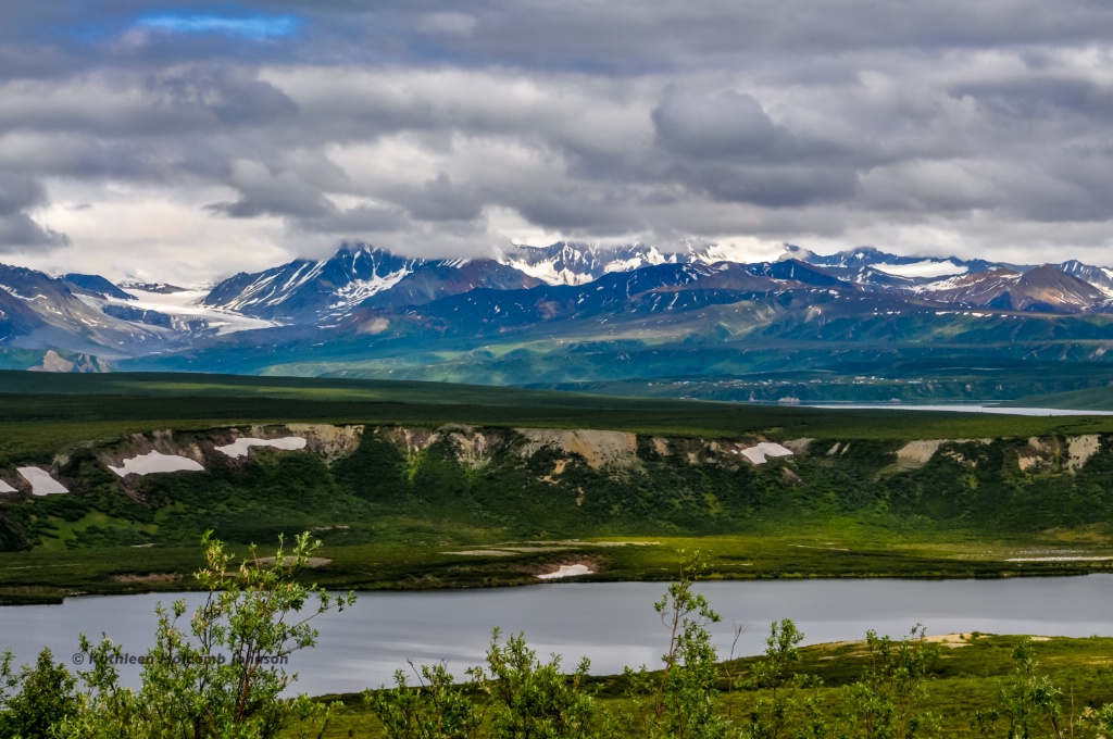 Alaskan Ride Guarantees Beautiful Scenery! - ID: 15677652 © Kathleen Holcomb Johnson