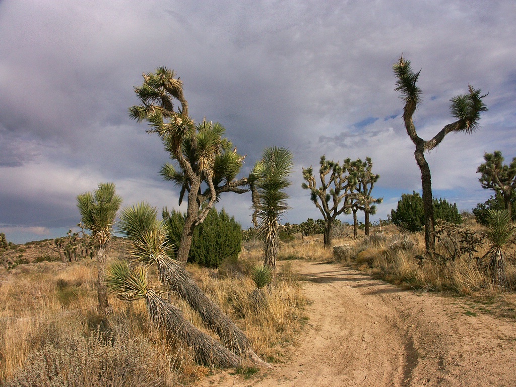 Mt. Emma Road