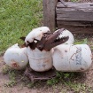    07 2010   SWET...