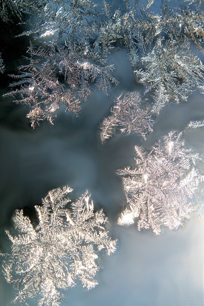 Jack Frost Painted On My Windowpane