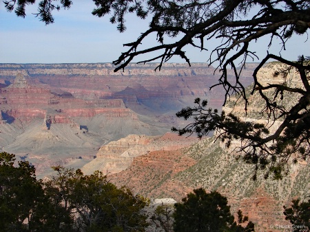 Spring @ the Grand Canyon