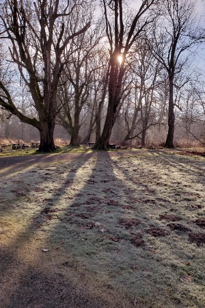 Shadows on the Frost