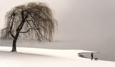 On the white beach 