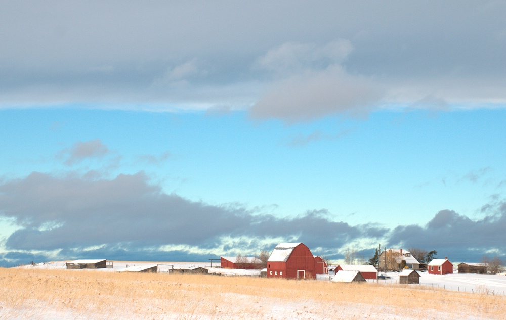 Red Ranch in Winter