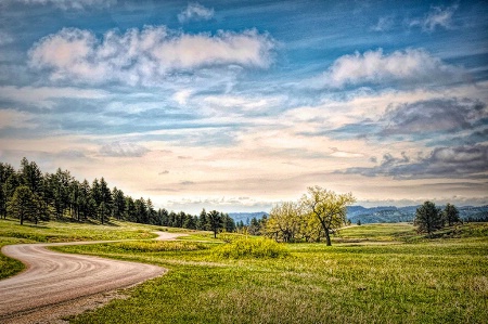 A Drive Through Custer