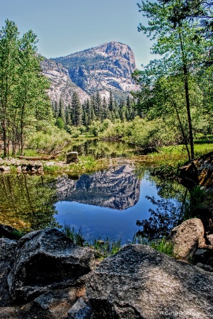 Yosemite Reflection Pond 