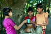 A cup of water