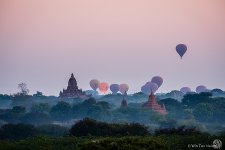 Balloons over Bagan