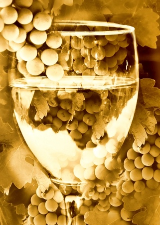 Sepia Wine