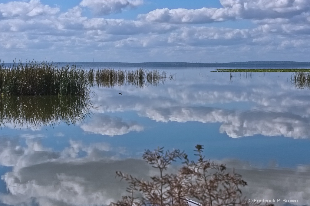 Lake Apopka Wildlife Area