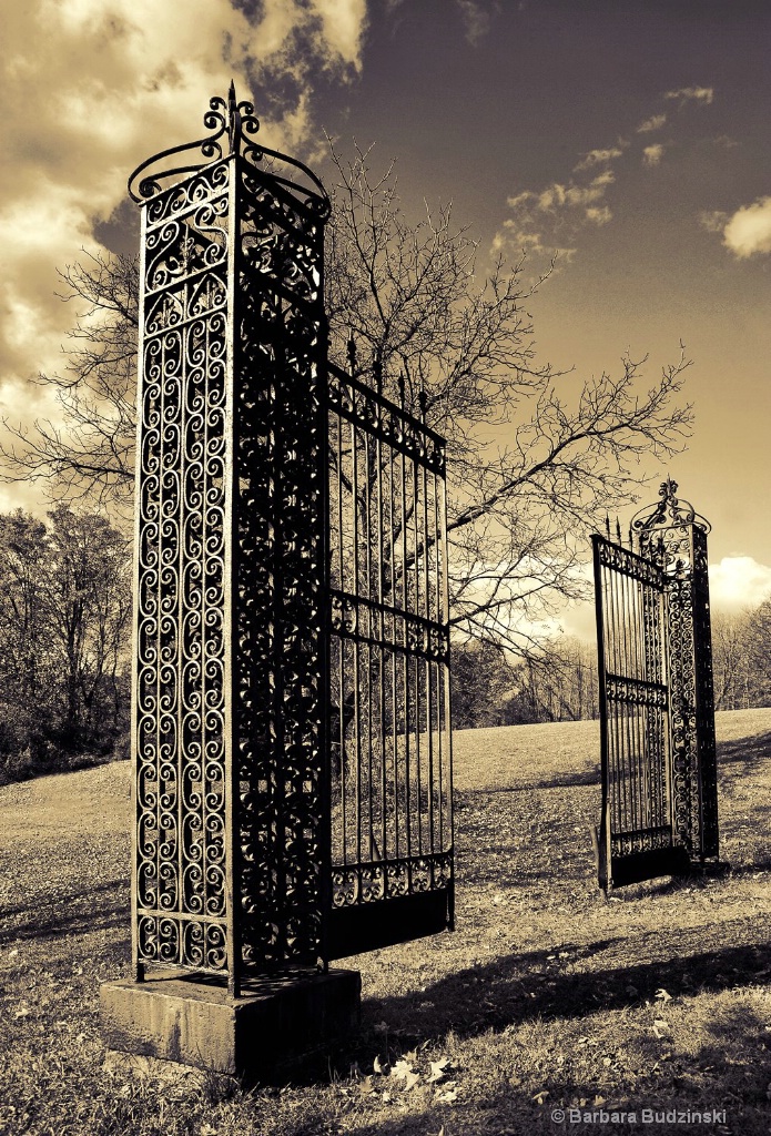 Iron Open Gate