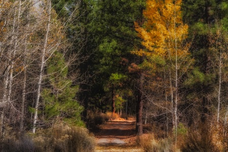 Path Unknown 2  1519