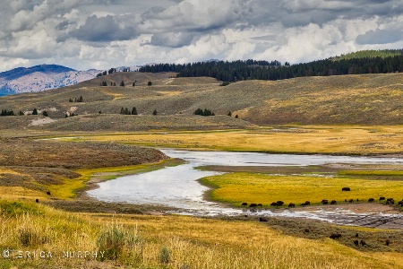 Yellowstone Valley