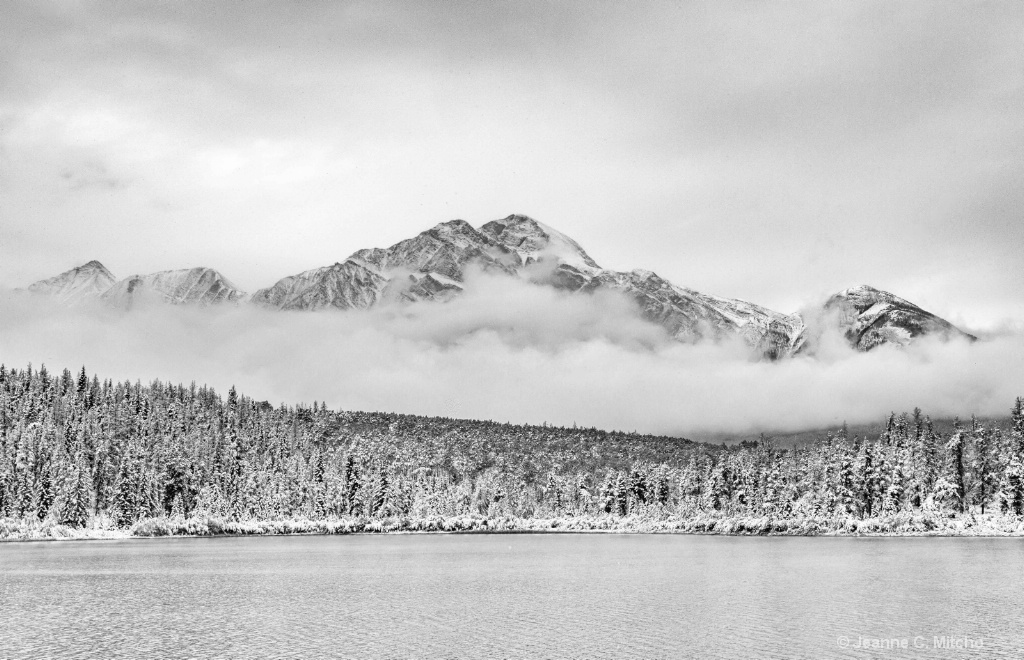 Pyramid Lake Jasper - ID: 15679633 © Jeanne C. Mitcho