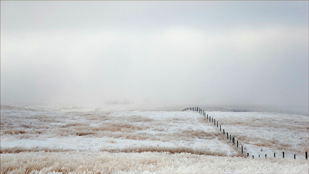 Fenceline in Hoarfrosted Field 