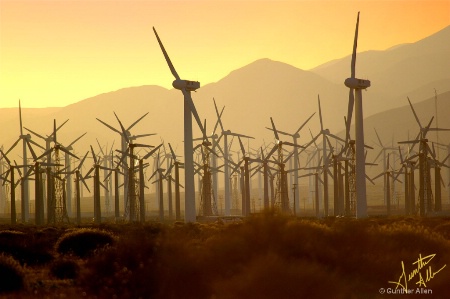 Wind Turbines at sunset in Palm Springs, CA