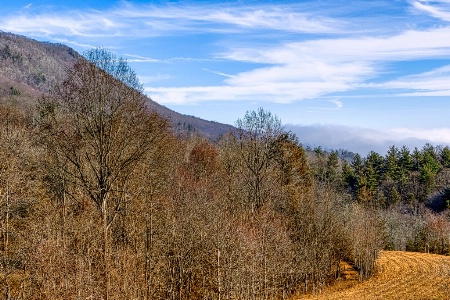 Winter View of the Appalachian Mountains