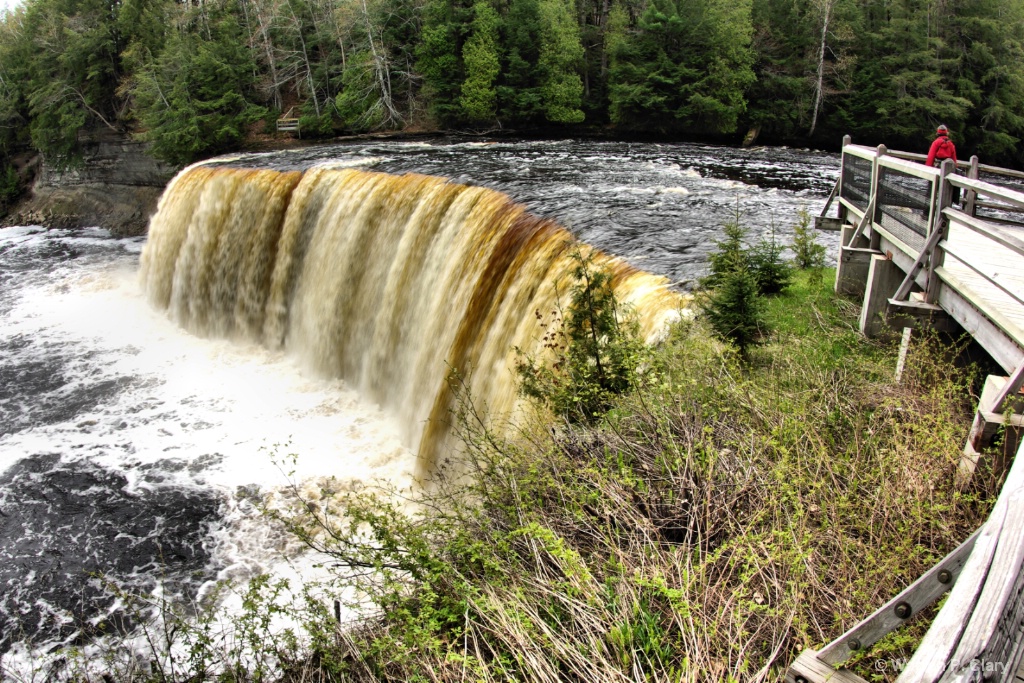 Tannin water of Tahquamenon Falls