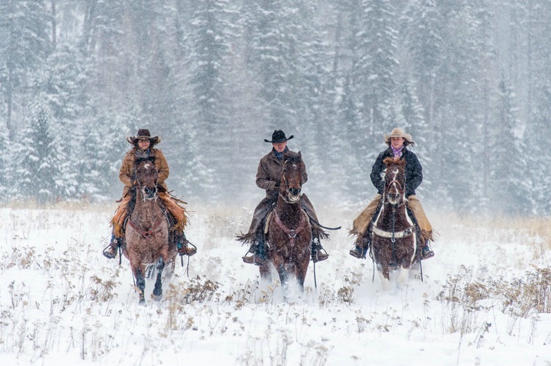 Snowy Riders - ID: 15680654 © Joseph D. Hancock