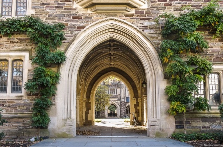 Arches of Princeton