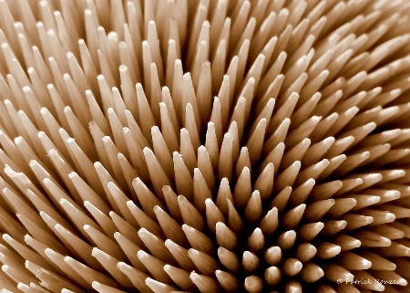 Toothpicks In Sepia