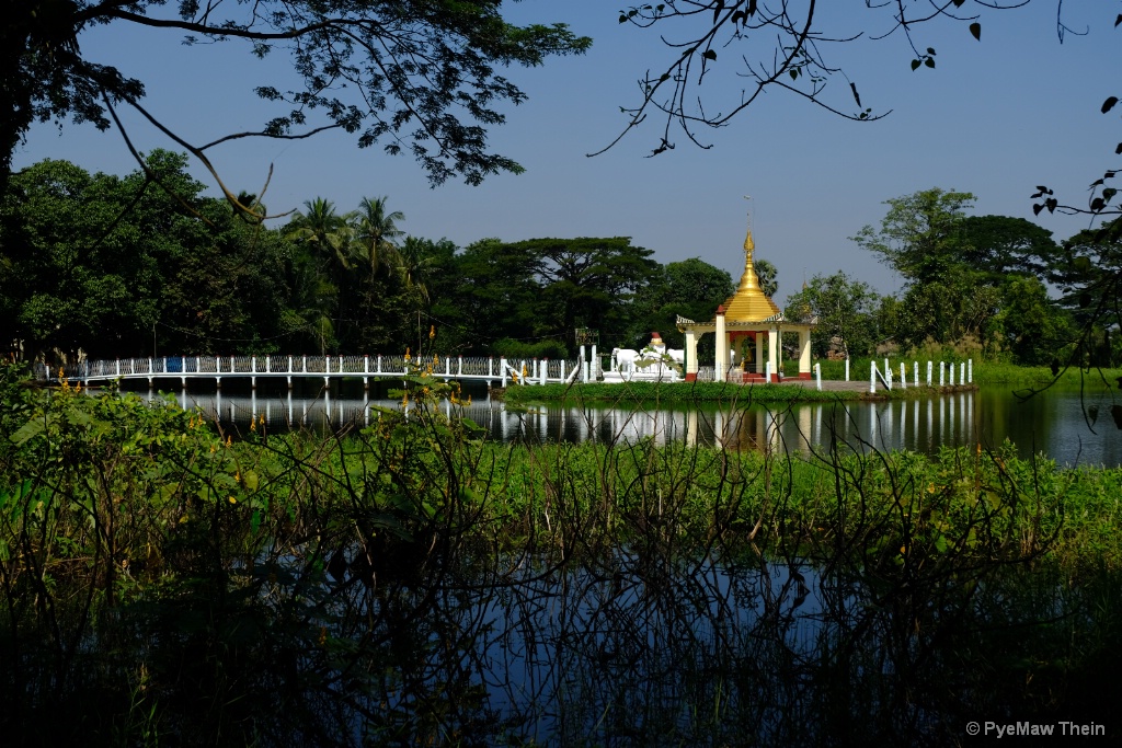 Reflection and pagoda