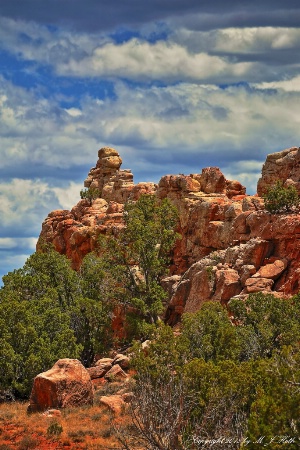 Along the Turquoise Trail - New Mexico