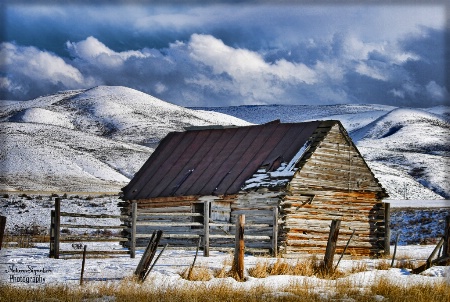 ~ Home On The Range ~