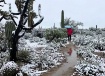 Arizona Snow