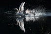 Motion