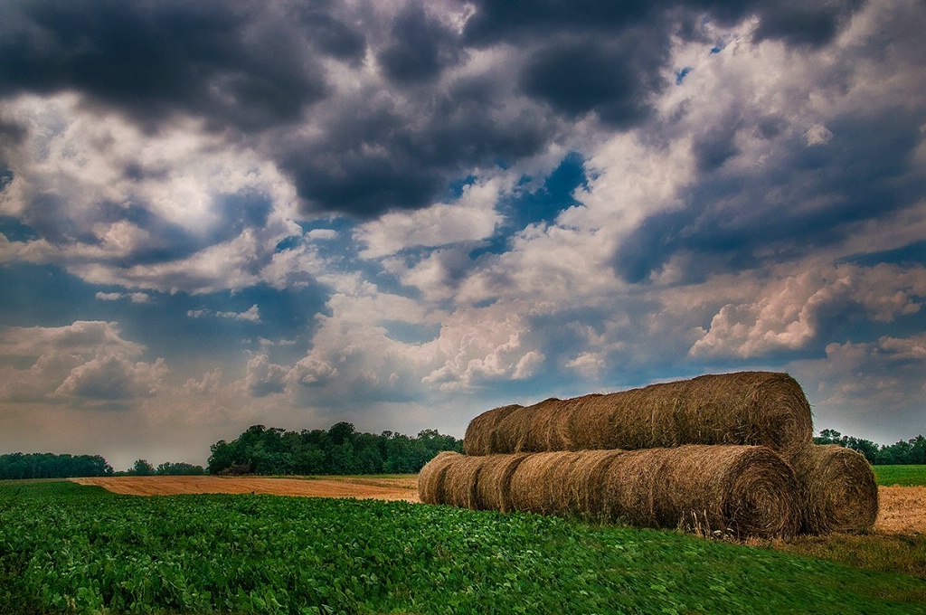 Hay Bales