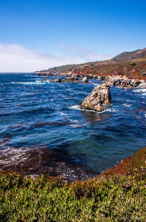 Big Sur Vista