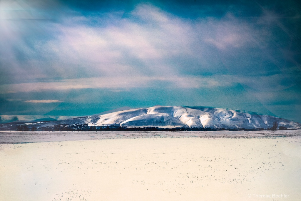 Nature & Landscape - Bright Snowy Day