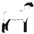 © Tracy Bazemore PhotoID# 15692751: LAMB