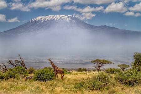 Kilimanjaro  5411