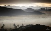 Sepia Morning