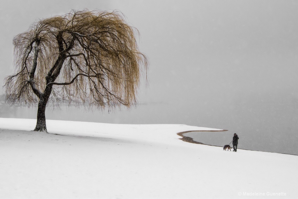 Walking the dog on the white beach