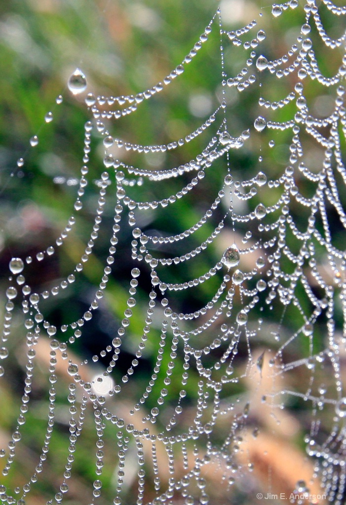 Water Droplets 3 - ID: 15696646 © Jim E. Anderson