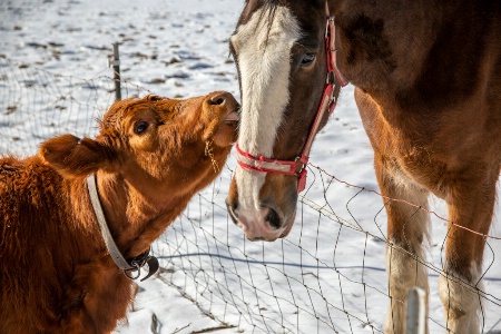 Love is where you find it!