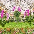 © Elliot Barnathan PhotoID# 15698332: Longwood 20