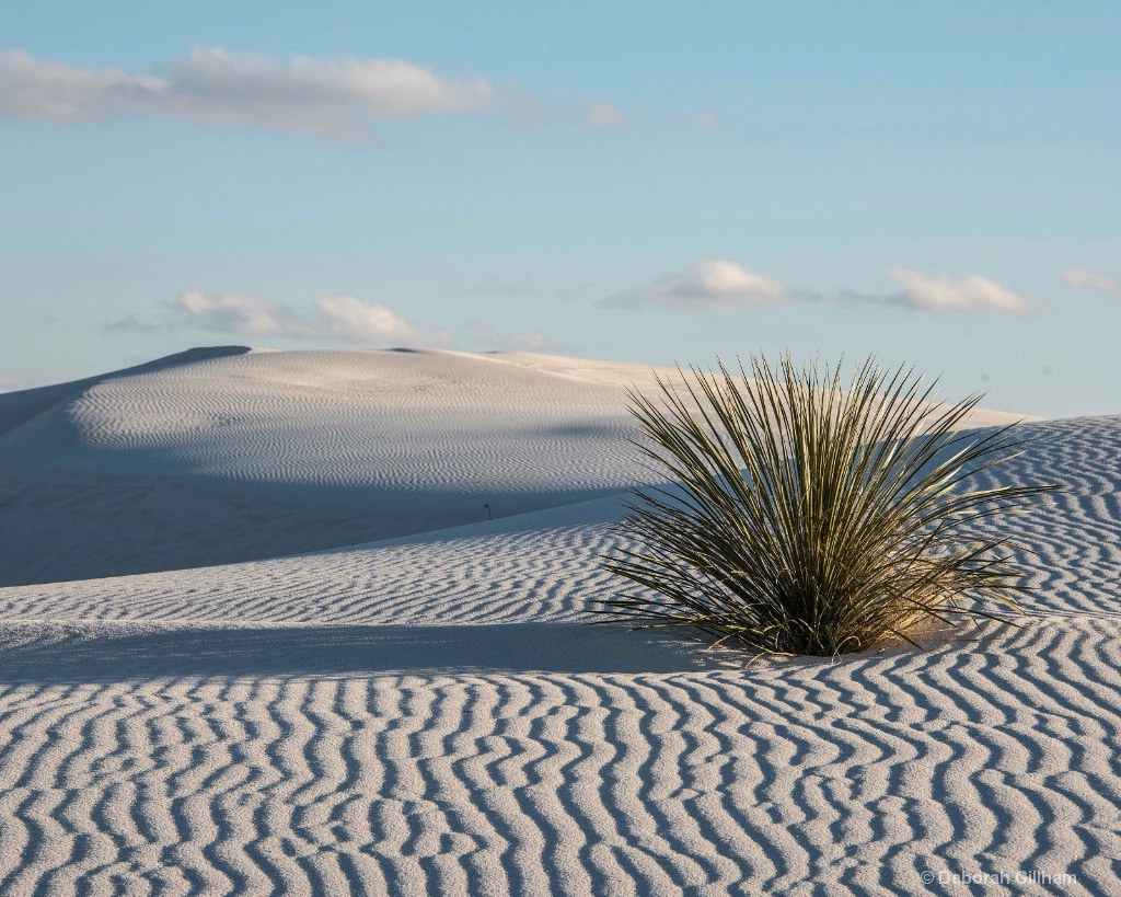 White Sands