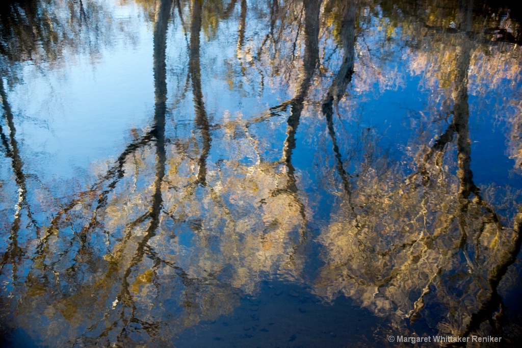 Beaver Creek Reflection - ID: 15700041 © Margaret Whittaker Reniker