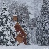 © Kelley J. Heffelfinger PhotoID # 15700372: Chapel in Winter Storm