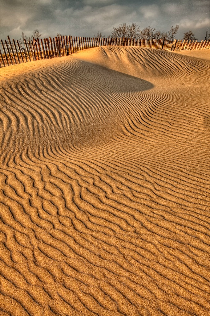 Dunes and Fences