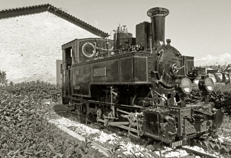 A retired cog locomotive.