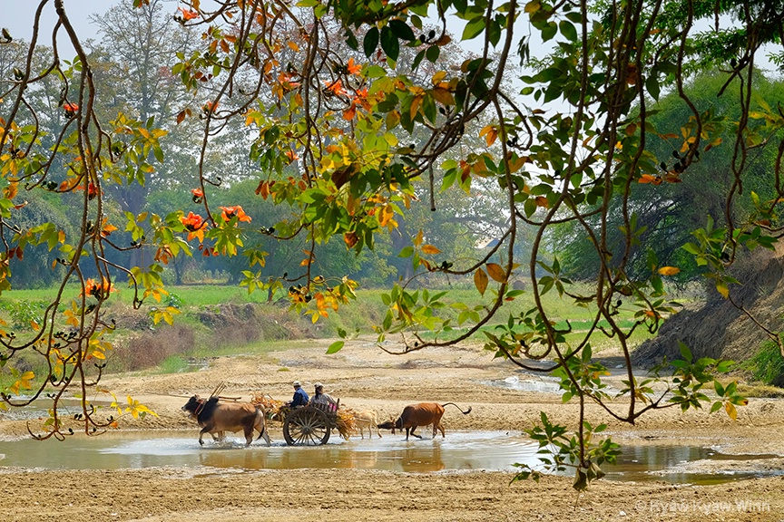 Summer Day in Myanmar