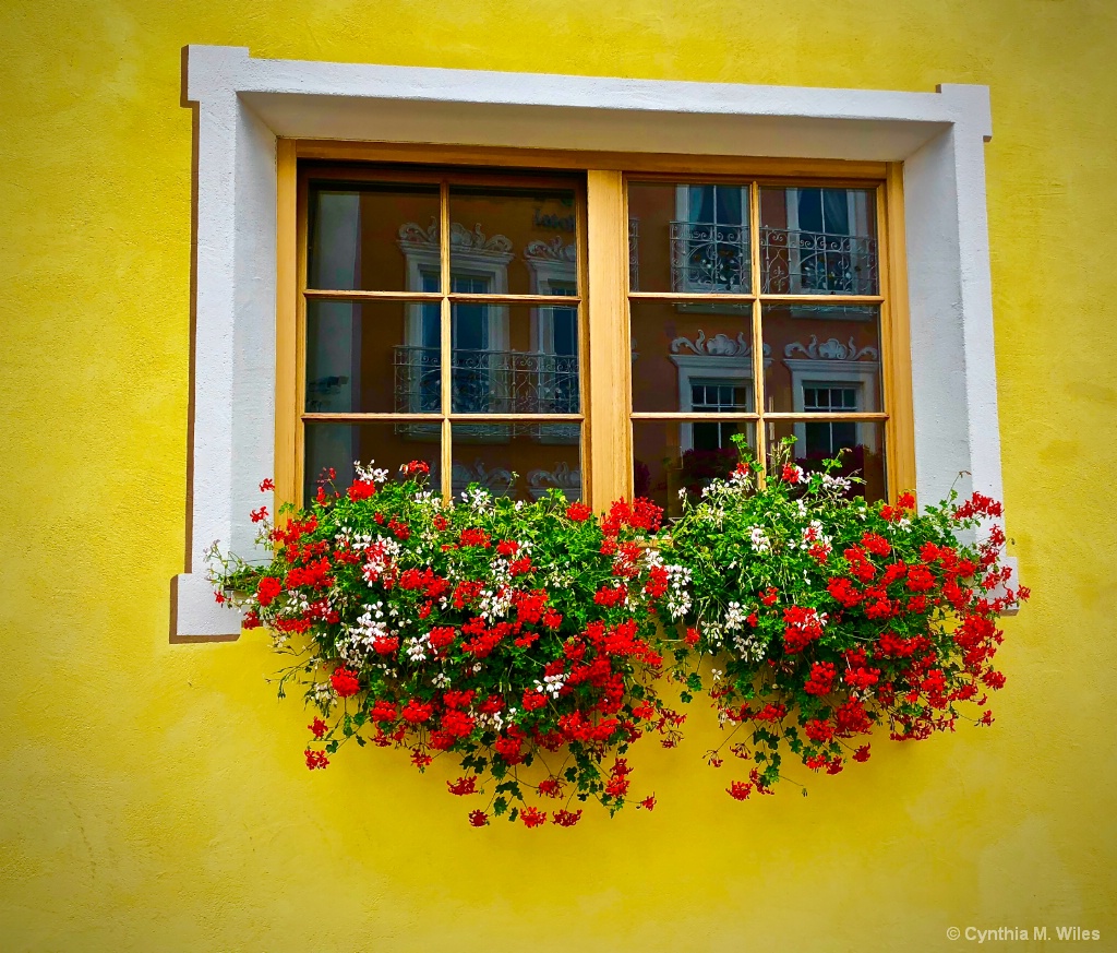 Window Box - ID: 15701314 © Cynthia M. Wiles
