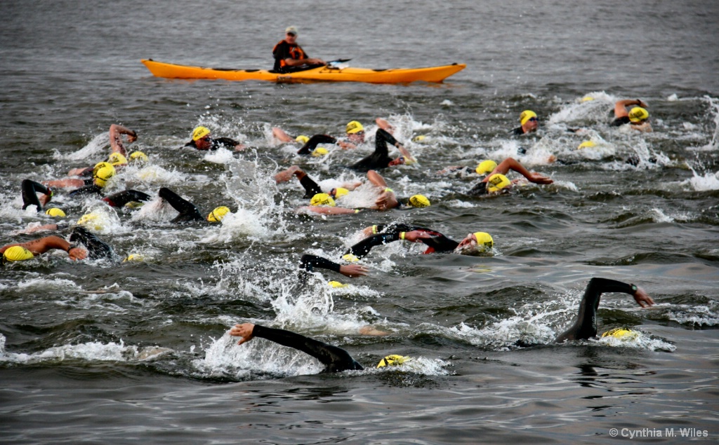 Swimmers Racing For Charity