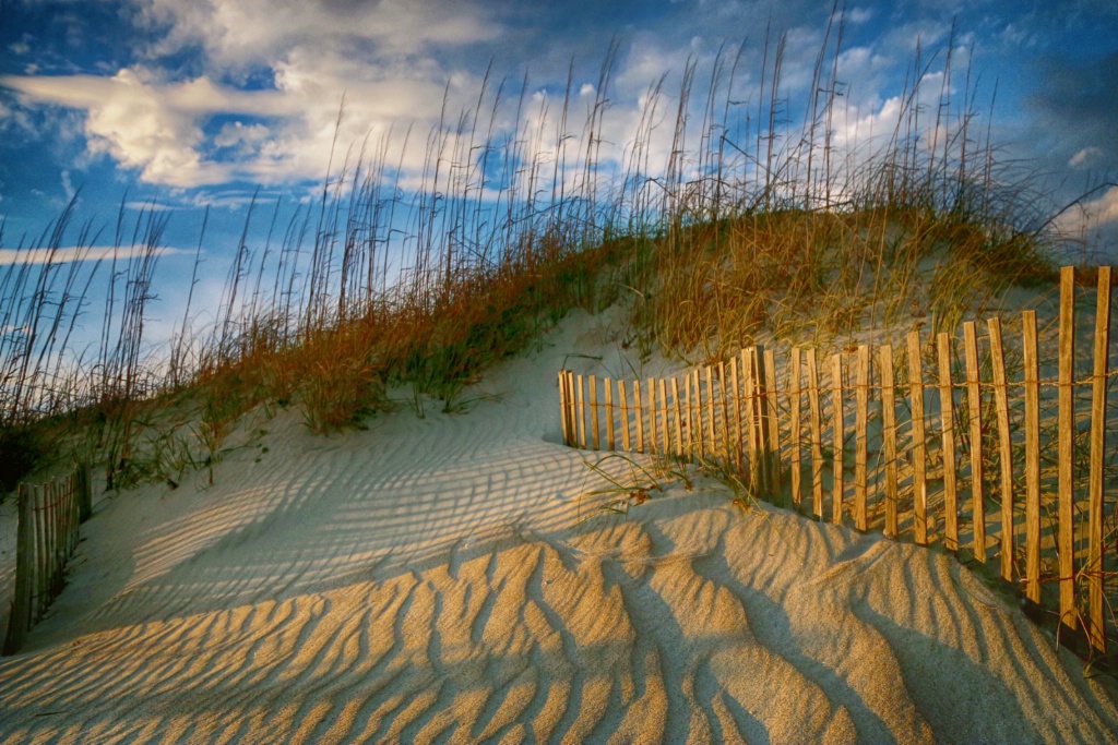 Outer Banks Dune